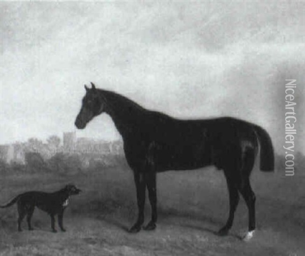 Black Stallion Oil Painting - John Ferneley Jr.