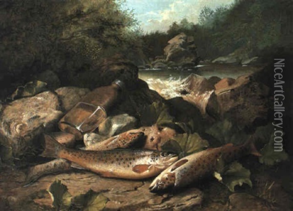 Trout On A River Bank Oil Painting - John Bucknell Russell