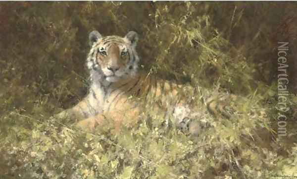 Tiger haven Oil Painting - Thomas Hosmer Shepherd