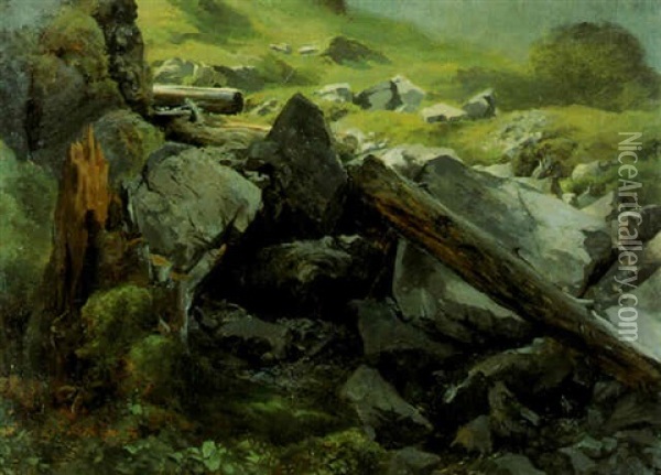Paysage De Montagne. Rochers Et Troncs D'arbres Oil Painting - Alexandre Calame