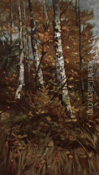 Herbstlicher Birkenwald Oil Painting - Karl Hagemeister