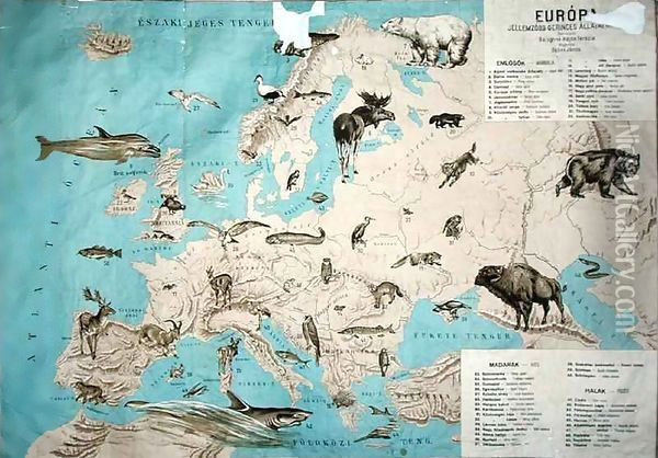 Map of animals in Europe Oil Painting - Janos Balint