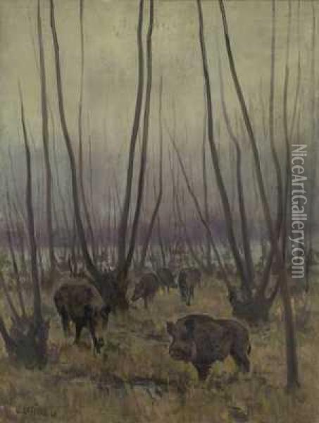 Rotte Sauen Im Herbstlichen Moor Oil Painting - Wilhelm Lefebre