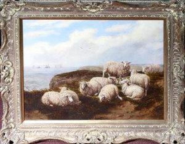 Sheep On Marsden Cliffs Oil Painting - Joseph Dixon Clark