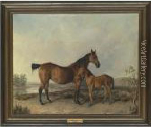 Flora Temple And Her Foal, Kitty Temple Oil Painting - Edward Troye