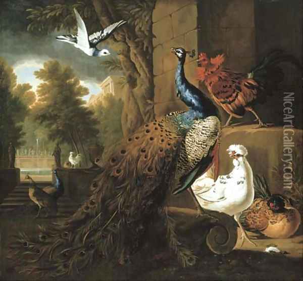 A peacock and chickens with other birds Oil Painting - Pieter Casteels III