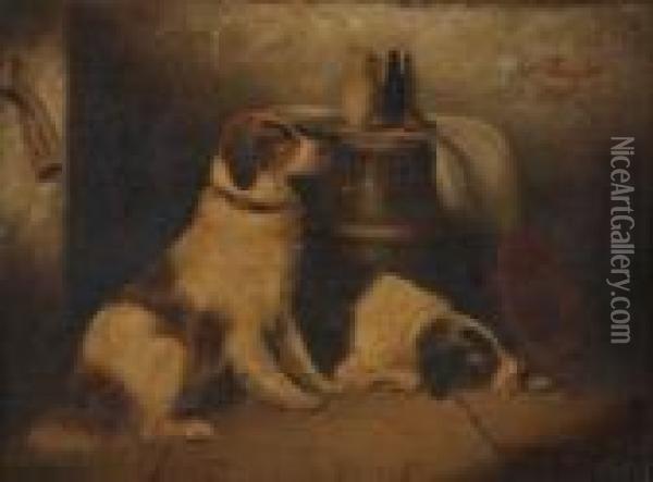 Study Of Two Dogs Oil Painting - George Armfield