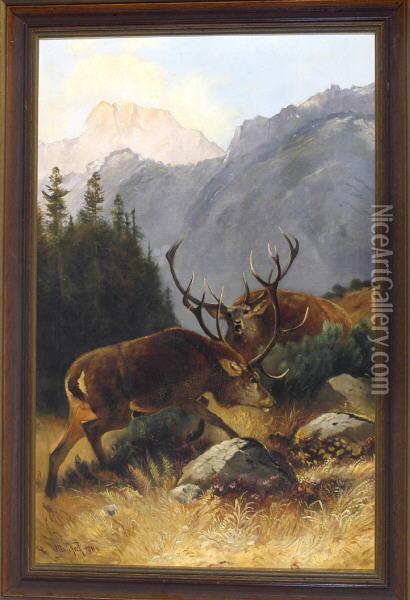 Zwei Kampfende Hirsche Im Gebirge Oil Painting - Otto Keck