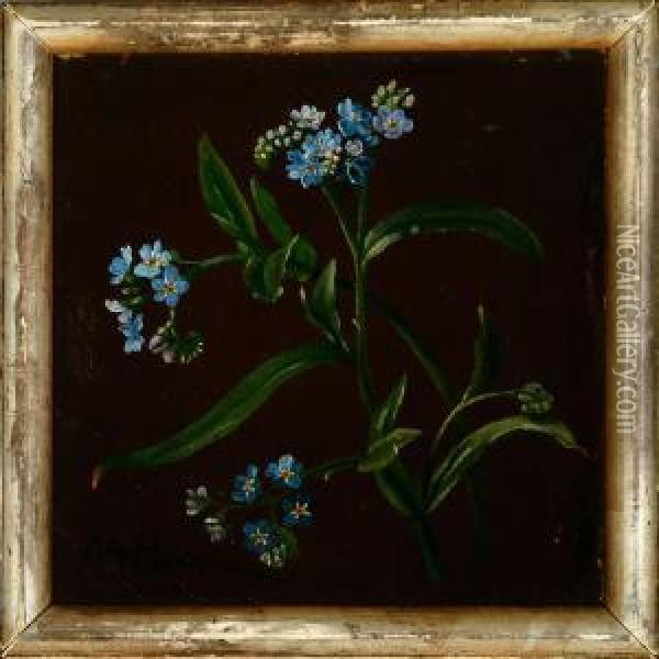A Study Forget-me-not Oil Painting - Olaf August Hermansen