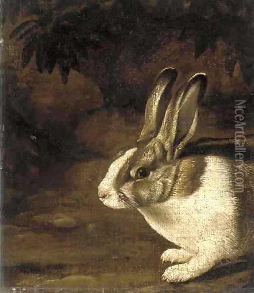 A rabbit in a rocky undergrowth Oil Painting - David de Koninck