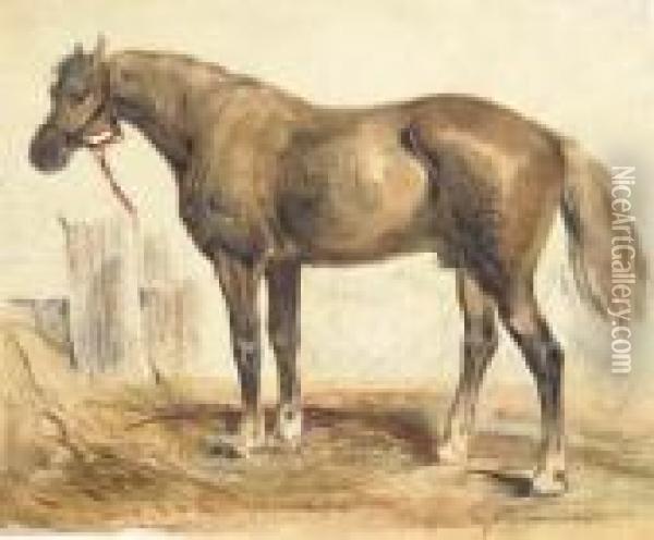 A Bay Stallion In Profile To The Right Oil Painting - Eugene Delacroix