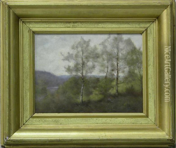 Paysage Dautomne Oil Painting - Louis-Aime Japy