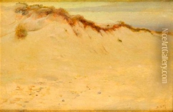 Dune De Sable Oil Painting - Giuseppe de Nittis
