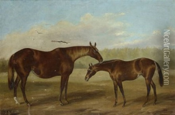 Cavallo E Puledro Oil Painting - John Thomas