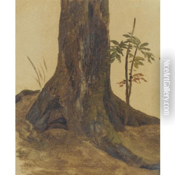 The Trunk Of A Live Oak Oil Painting - Simon-Joseph-Alexandre Clement Denis