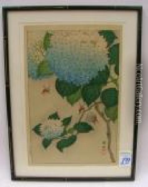 Blue Hydrangeas With Was Ps Oil Painting - Ohara Koson