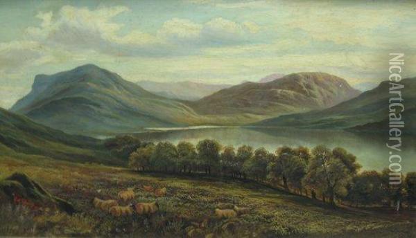 Sheep By A Highland Loch Oil Painting - Charles Henry Passey
