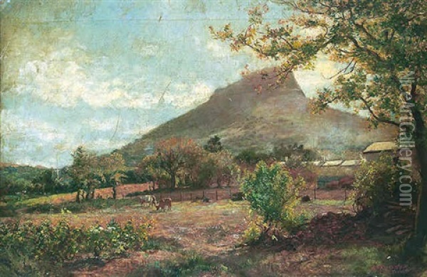 Capetown, South Africa Oil Painting - George Crosland Robinson