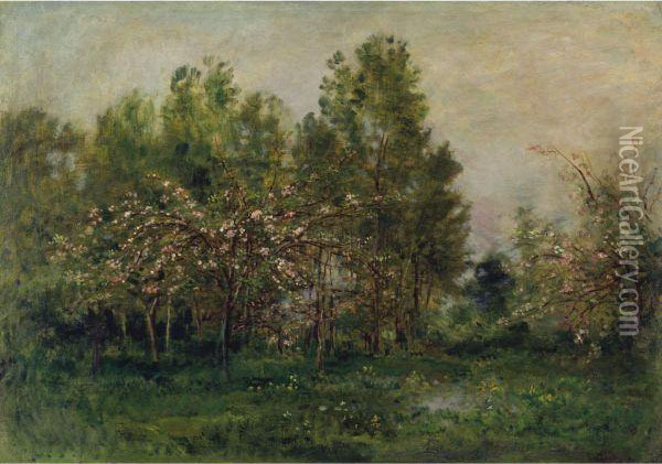 Apple Blossoms Oil Painting - Charles-Francois Daubigny