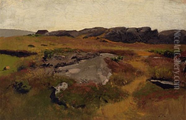 Herbstliche Hochmoorlandschaft Oil Painting - Konrad Alexander Mueller-Kurzwelly