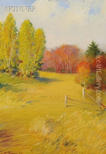 The Meadow Oil Painting - Dwight Blaney