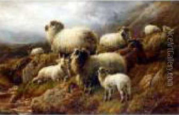 Highland Sheep Oil Painting - Robert Watson