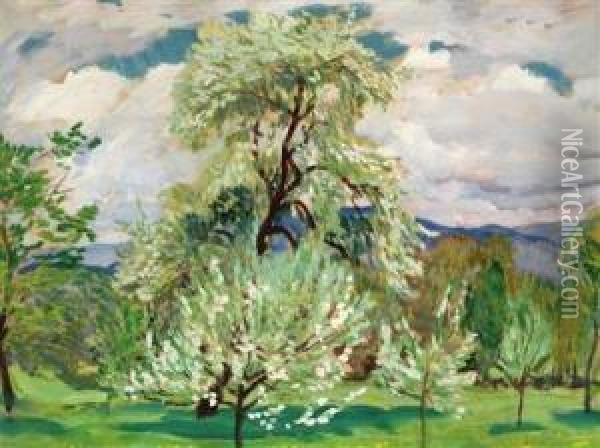 Obstgarten Im Fruhling Oil Painting - Antonin Hudecek