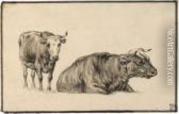 Study Of Two Cows Oil Painting - Aelbert Cuyp