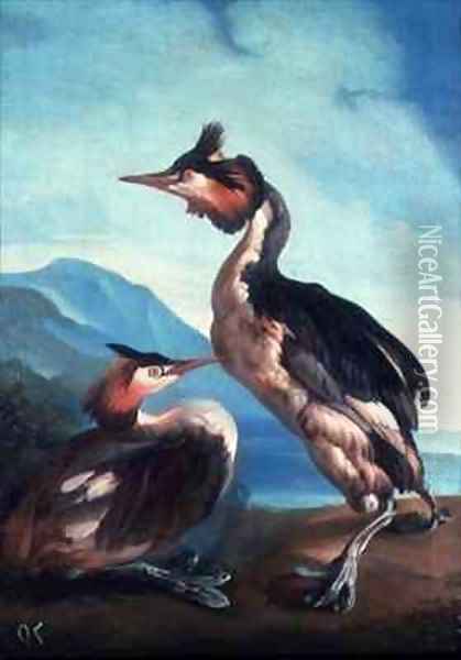 A Pair Great Crested Grebes by a Riverbank Oil Painting - Faustino Durante