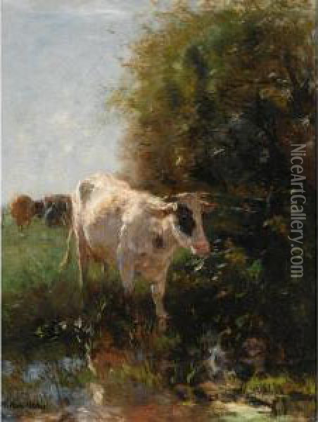 A Watering Cow Oil Painting - Willem Maris