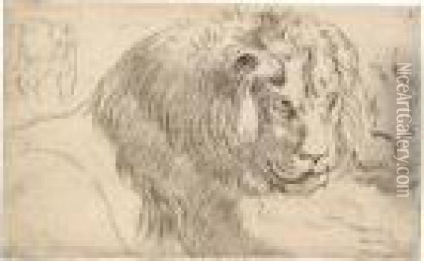 Study Of A Lion In Repose, With A
 Further Study Of Its Face, And Another Study Of The Side Of A Standing 
Lion Or Lioness Oil Painting - Peter Paul Rubens
