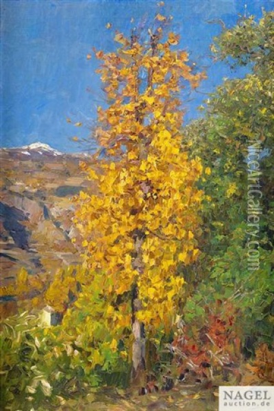 Herbstbirke Mit Sonne, Klausen Oil Painting - Alexander Max Koester