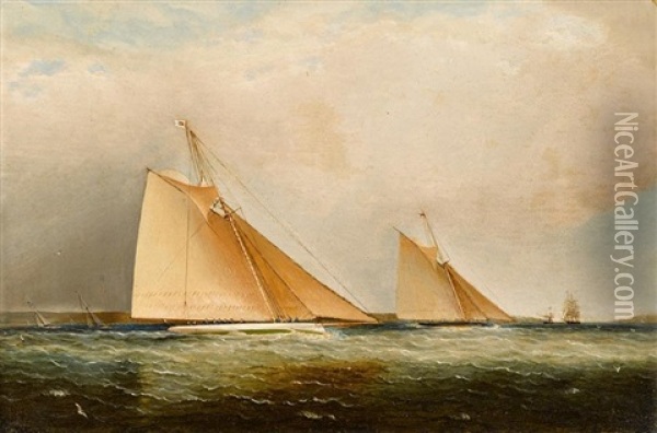 Cutters Leading The Fleet Through The Sound, Ny Oil Painting - James Edward Buttersworth