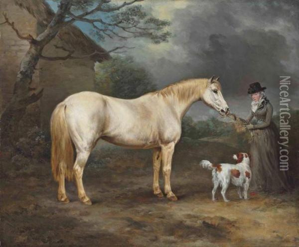 Mrs. Thomas Hawkins Of Trewithen, Cornwall With Her Connemara Ponyand A Spaniel Oil Painting - Philip Reinagle