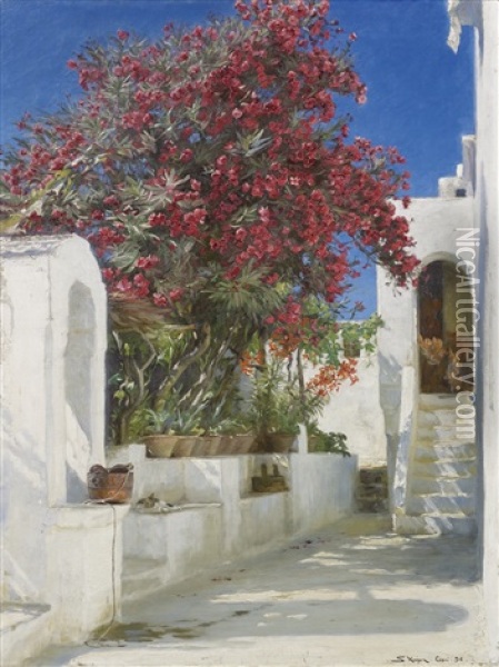 Oleanders In Bloom, Capri Oil Painting - Peder Severin Kroyer
