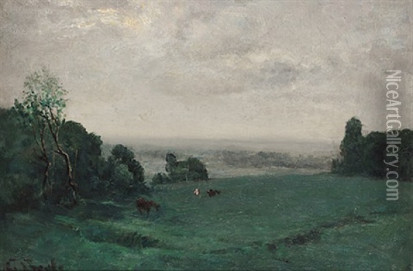 Morgendliche Weidelandschaft Mit Weitem Blick In Das Land Oil Painting - George A. Boyle