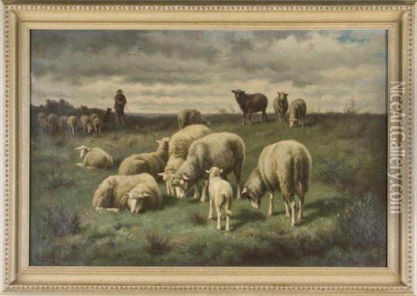 Sheep Oil Painting - Henri De Beul
