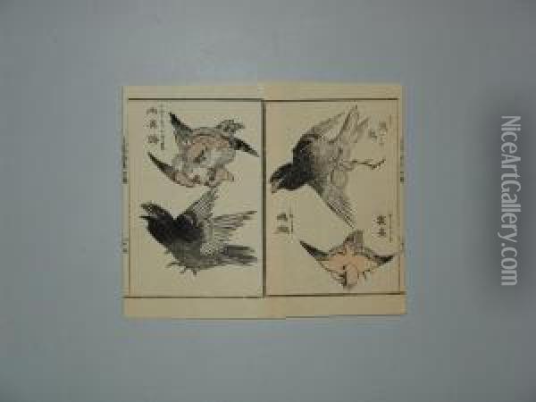 Serie Des 100 Oiseaux. Oil Painting - Katsushika Ii Taito