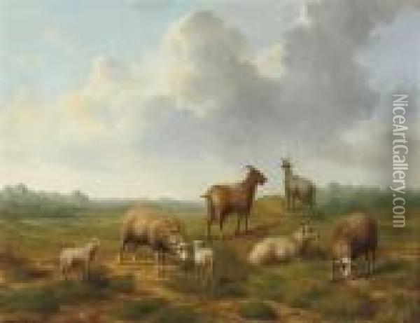 In The Meadow Oil Painting - Arthur De Waerhert