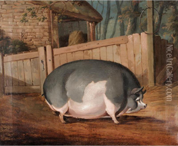 The Yorkshire Sow Oil Painting - J.J. Everard