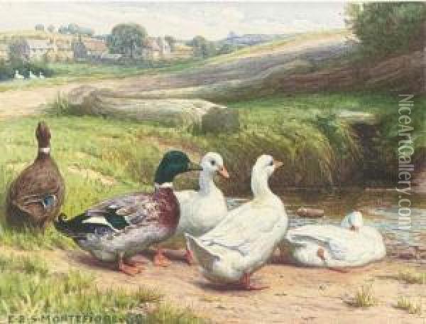 Ducks By A Pond Oil Painting - Edward Brice Stanley Montefiore