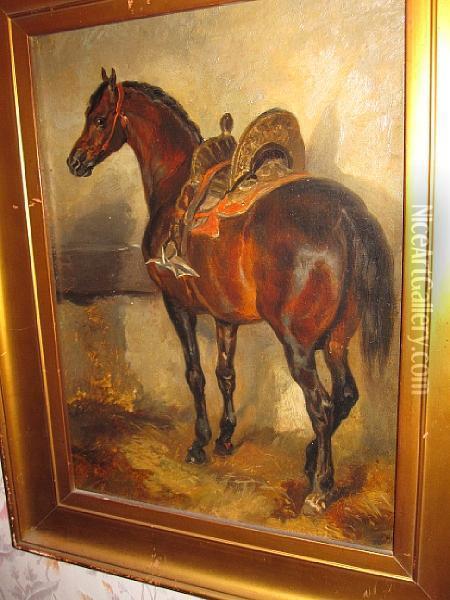 A Study Of A Horse With A Spainishsaddle Oil Painting - John Frederick Herring Snr