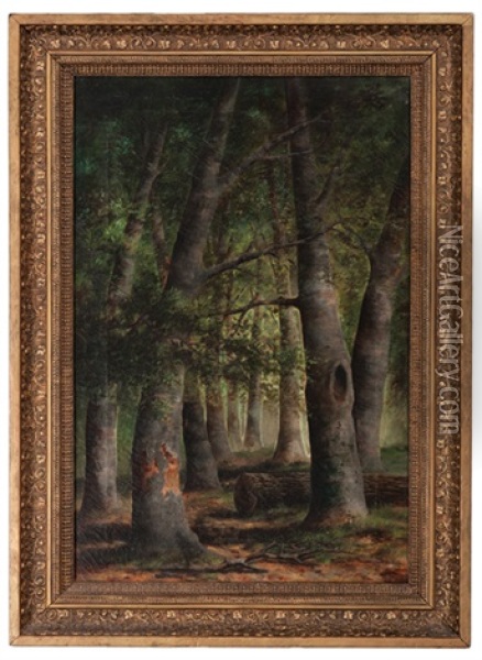 Forest Landscape Oil Painting - William Mckendree Snyder
