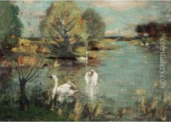 The Swan Lake Oil Painting - John Reed Murray