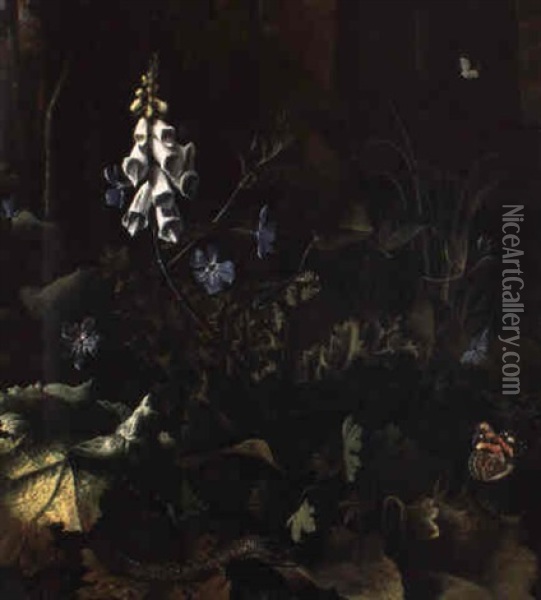 Plantes, Fleurs, Papillons, Reptile Et Grenouille Oil Painting - Otto Marseus van Schrieck
