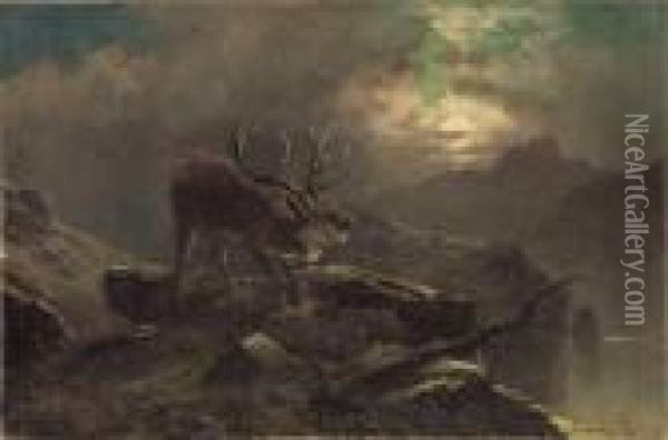 Bellowing Elk Oil Painting - Clarence Roe