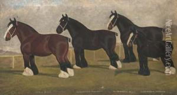 Peele Belle, Oldborough 
Pleasant, Oldborough Belle, And Oldboroughduchess, Four Shirehorses Oil Painting - William Albert Clark
