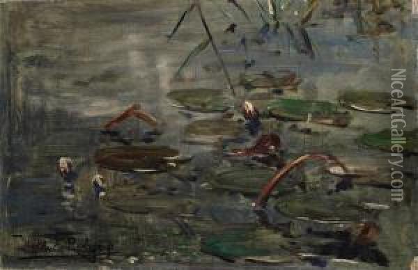 Waterlillies Oil Painting - Willem Roelofs