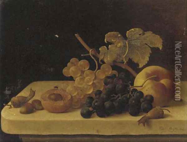 Grapes, Acorns, an Apricot and a Peach on a Ledge with a Fly Oil Painting - Emilie Preyer