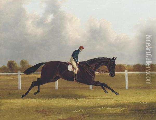 Major Yarburgh's Brown Colt Oil Painting - John Frederick Herring Snr